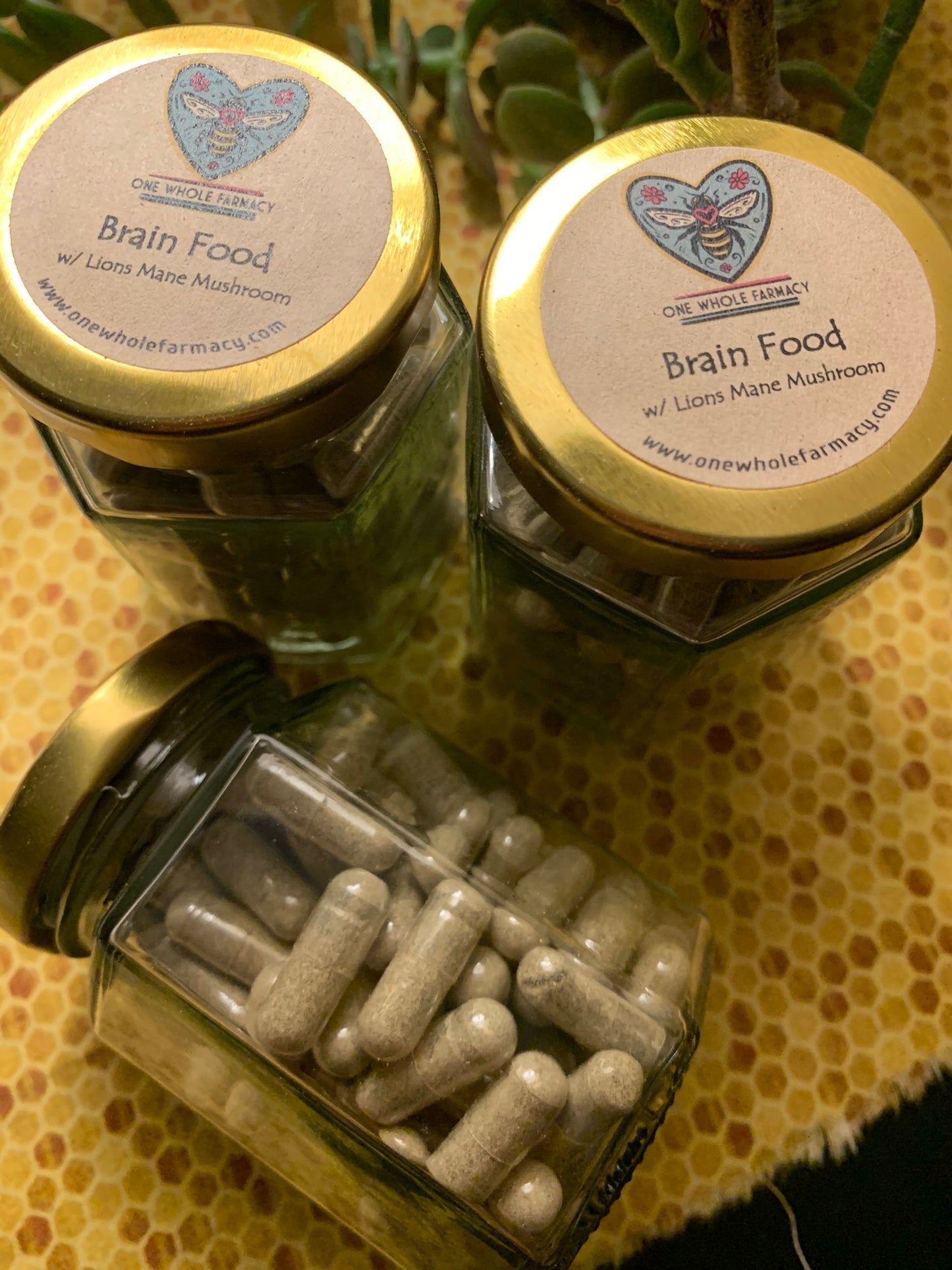 Brain Food Capsules
