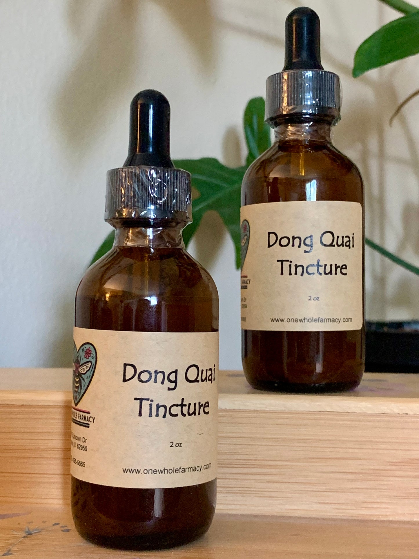 Dong Quai/Angelica Tincture