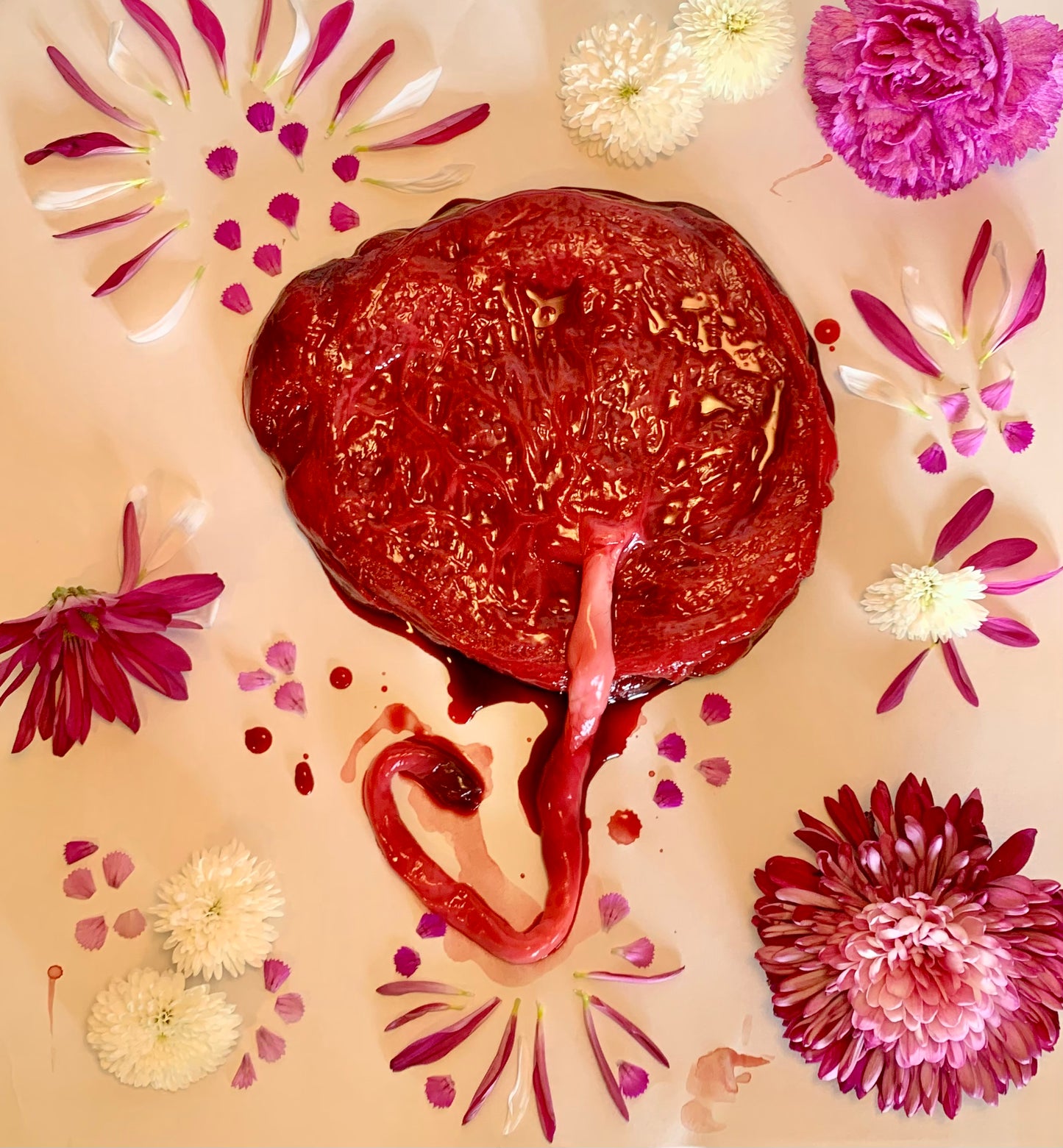 Postpartum Healing Placenta Magic