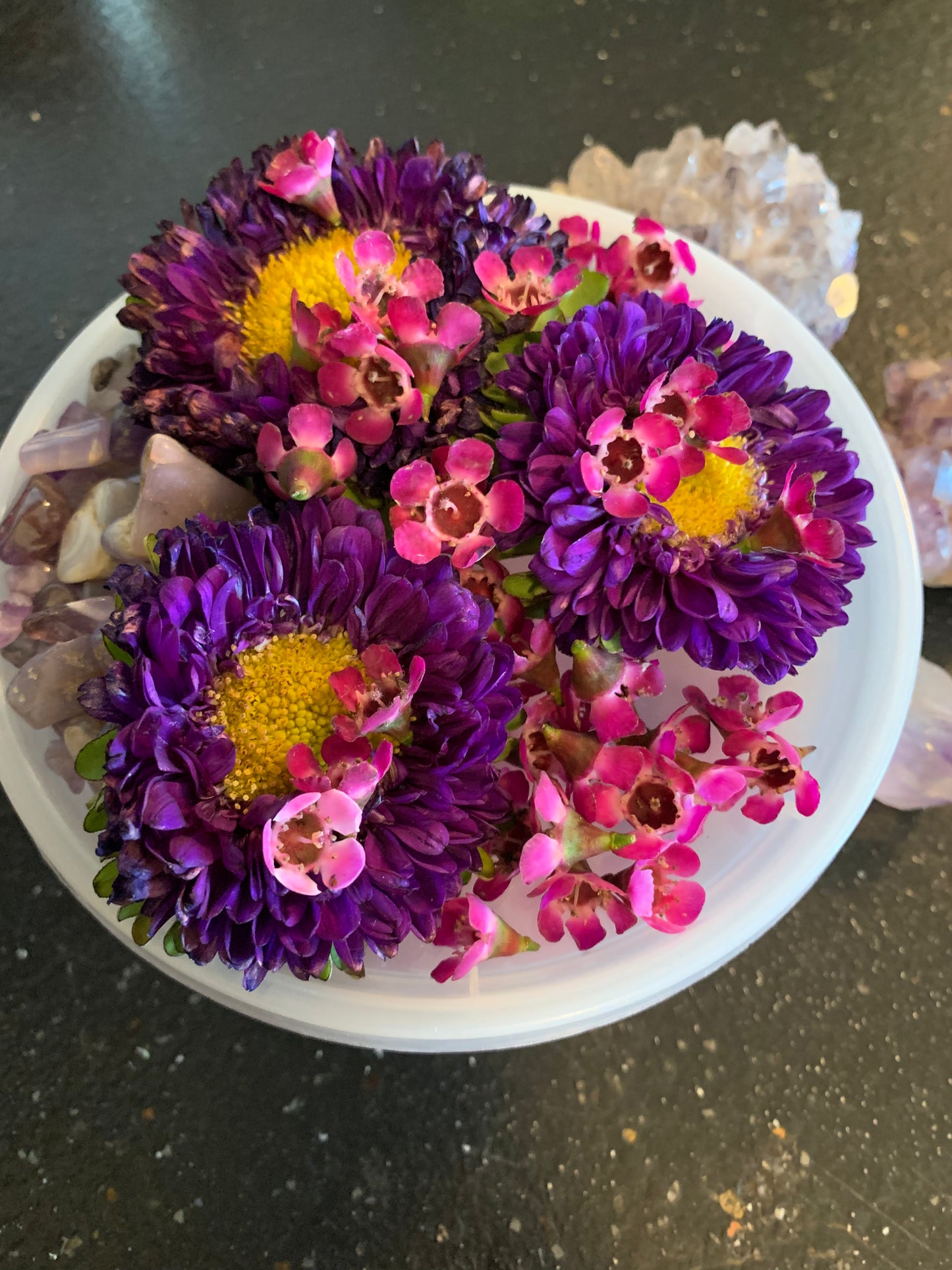Postpartum Healing Placenta Magic
